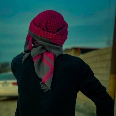 Ayoub's profile picture