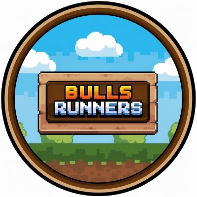 BullsRunners's profile picture