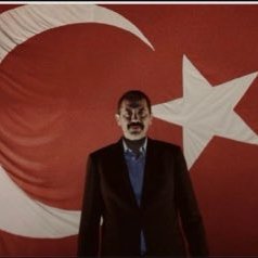 Sertel Selim's profile picture