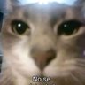 Profilbild von judas