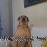 tentando mudar de vida's profile picture