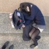 Winter 的头像