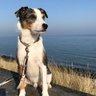 Lucky's profile picture