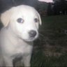 eir - 2005's profile picture