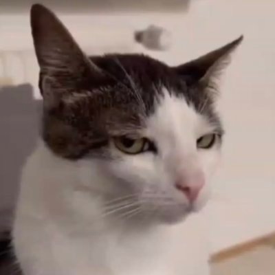 GlamdriingSword's profile picture