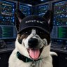RyanTHawks's profile picture