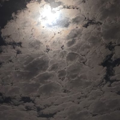 n70bf's profile picture