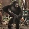 Damon's profile picture
