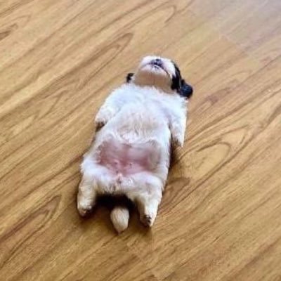 𝘗𝘢𝘯𝘥𝘢 ⊚⊜⊕ 「ᴬᴿᴵᴿᴬᴺᴳ」 ขอBaepsaeตรงหน้า's profile picture