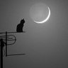 خيال's profile picture