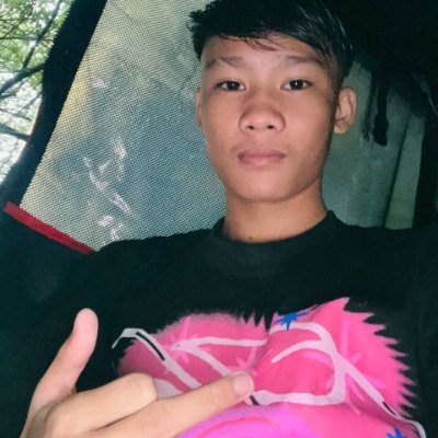 Oyliplangt90's profile picture