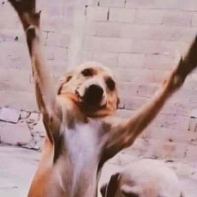 ValSaoo's profile picture