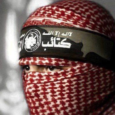 Mehmet Harput's profile picture