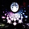 Profilbild von profcomp (DMs open!!)