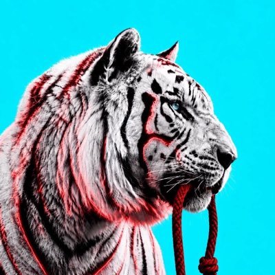 FrontToof's profile picture