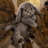 cabbit kuri's profile picture