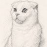 Profilbild von 힘내자알트