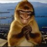 Perez's profile picture