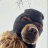 Ben's profile picture