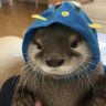 Profilbild von beccalol