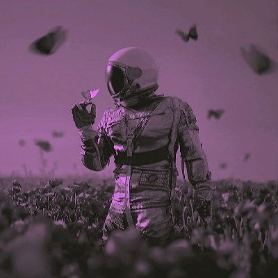 XoN's profile picture