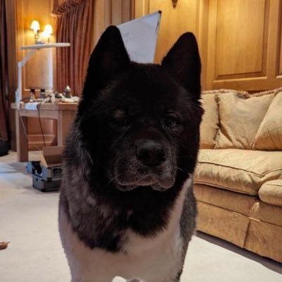 Henry Cavill's profile picture
