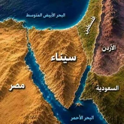 هناك أمل🌱's profile picture
