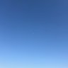 わさびなす( ᐛ ) profil fotoğrafı