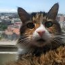 Фото профиля bonnie Hernández