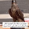 Фото профиля الوافي