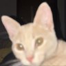 Profilbild von Emanuel TSR