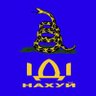 nt_selyuk's profile picture