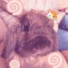 Profilbild von Vinnie