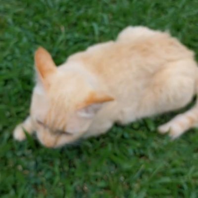 ww_stan's profile picture