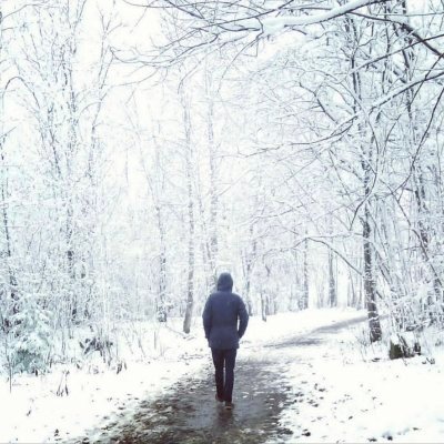 landscrona_spb's profile picture
