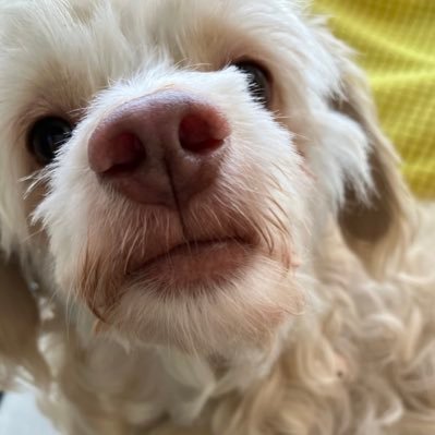 Numb1's profile picture