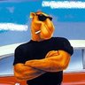 Junior Bush 🇫🇷's profile picture