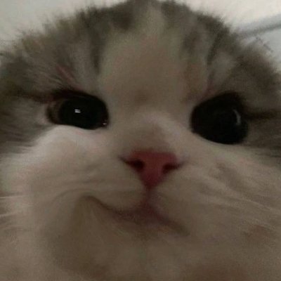 WaWaleed1211's profile picture