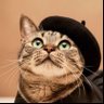 .kinako._'s profile picture