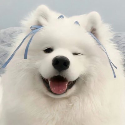 Toei_keawalin's profile picture