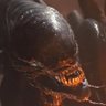 Xenomorph-XX121 (SEARCHLIGHTS) 的头像