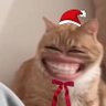 Profilbild von มีตางค่าาา 🐱 ลอปฟก ~