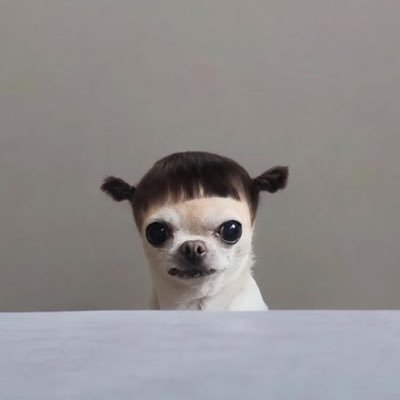 raindrop's profile picture