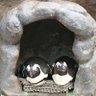 ペンギン 的头像