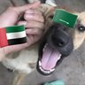 Profilbild von جلاد انجاس ال سلول