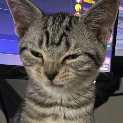 ippanjinnoarare's profile picture