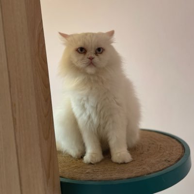 bejaya's profile picture
