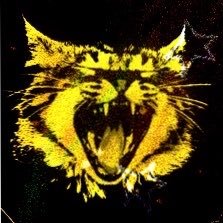 acervonumetal's profile picture