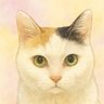 メタルキャット's profile picture