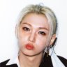 lychee & that's profile picture